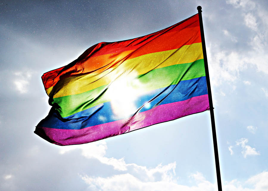 Lesbian, Gay, Bisexual, Transgender, and Queer Studies